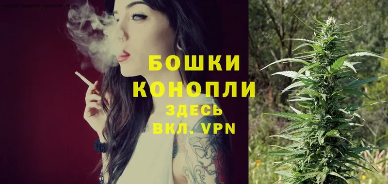 блэк спрут как войти  цена наркотик  Алушта  Марихуана SATIVA & INDICA 